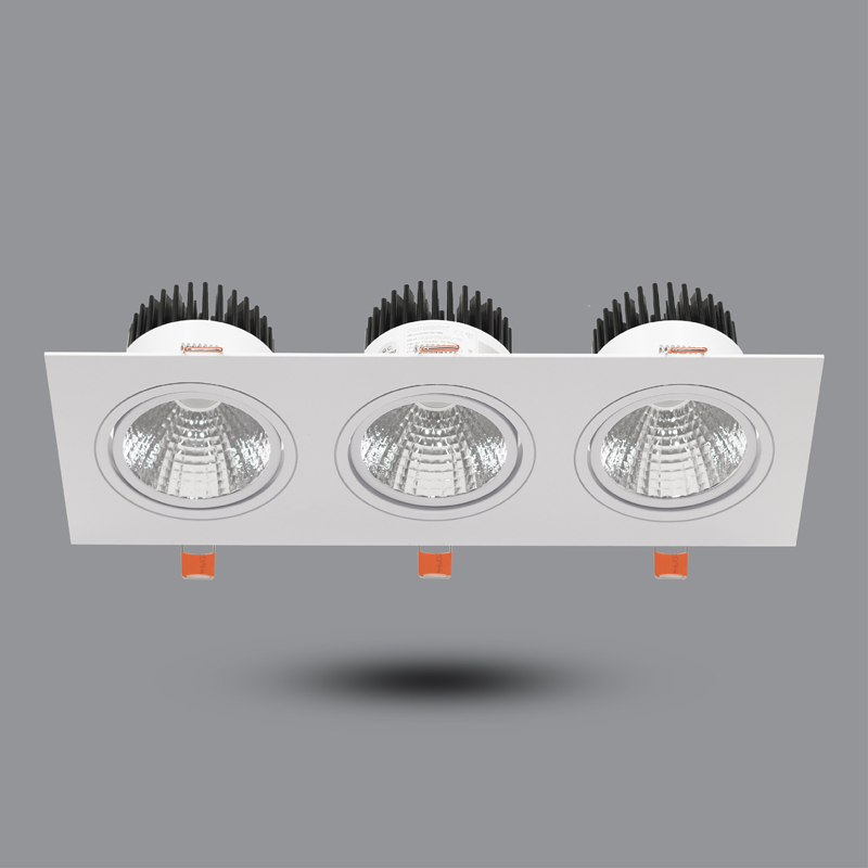 Den-LED-Downlight-30W-am-tran-OLS310L30-1 Den LED Downlight 30W am tran OLS310L30 1 1